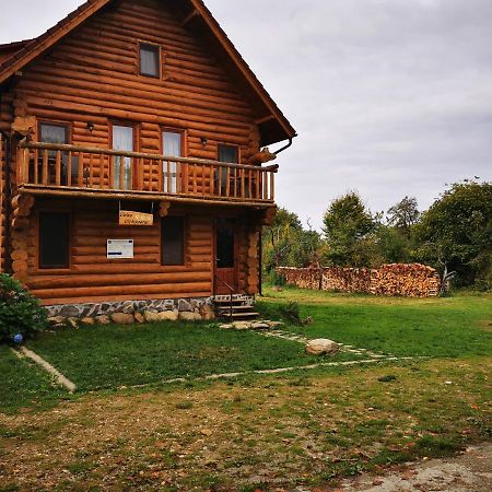 Valea Vistisoarei Villa Vistisoara Exterior photo