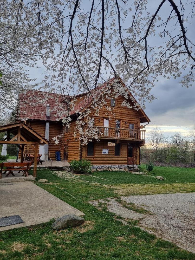Valea Vistisoarei Villa Vistisoara Exterior photo